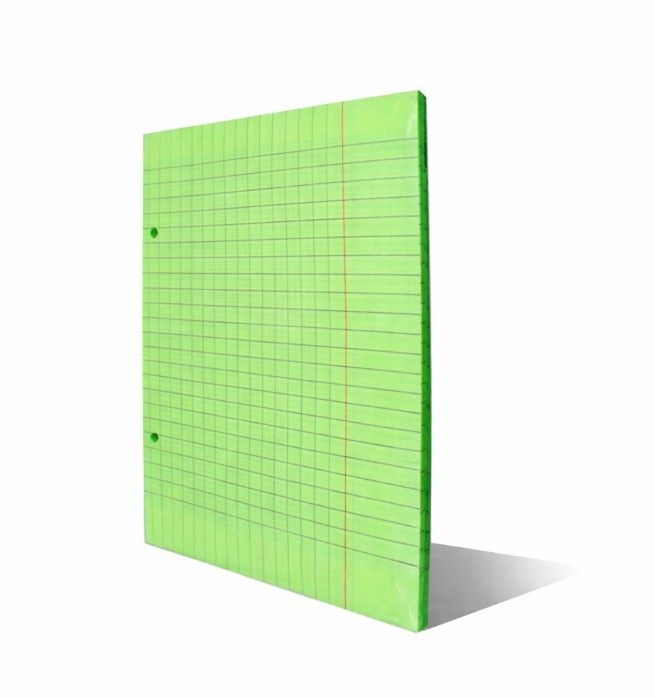 Recharge classeur perforé PM vert 100p SELECTA