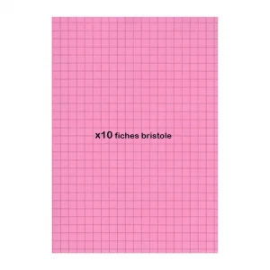Fiches bristol PM rose 10f