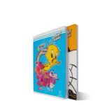 Cahier piqûre PM 128p seyès SELECTA fille