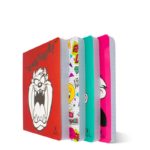 Cahier brochure PM 288p seyès SELECTA fille
