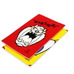 Carnet piqûre 11*17cm 96p 5/5 SELECTA
