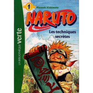 Naruto les techniques secrètes