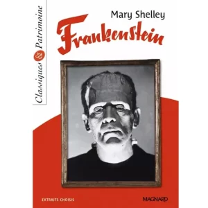 Frankenstein Livres-SYNOTEC