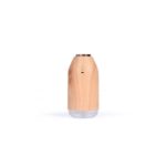 DIFFUSEUR D HULE ESSENTIELLES LIVOO (DE122)