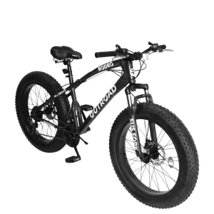 Vélo VTT Fat bike 24 (6024-FBS) Rodeo