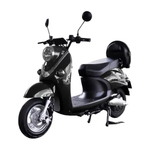 Scooter Electrique 1000W E-Rider E-ECONOMIC Noir