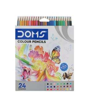 Crayons de 24 couleurs Doms