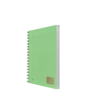 Wiro PM 300p Yamama 70g vert